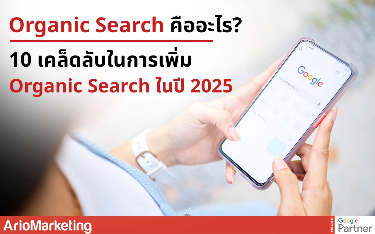 การทำ SEO เพื่อเพิ่มการมองเห็นใน Organic Search